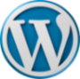 Digital solutions tools : wordpress